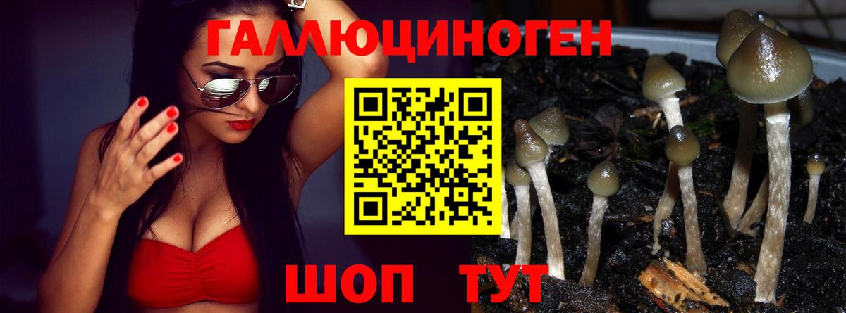 Отрадный  Псилоцибиновые грибы Cubensis  Вход с VPN  Галлюциногенные грибы ЛСД 
